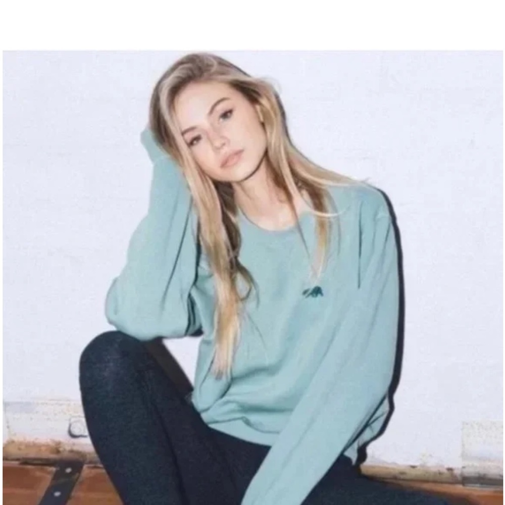 Brandy Melville Sweatshirt